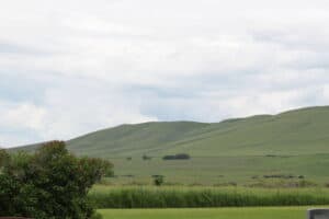 Sheep found good grazing in the hills around Combs Creek.